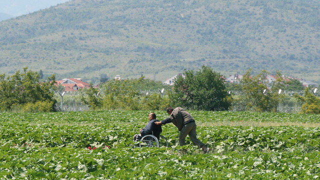 Avrupa'daki sığınmacı krizi