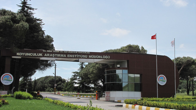 Balıkesir'de Koyunculuk Araştırma Enstitüsü Müdürlüğünde arama