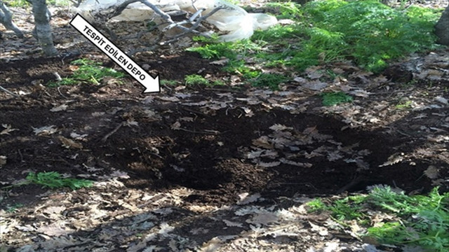 Bingöl'de terör operasyonu