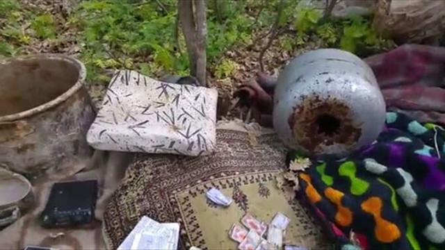 Bingöl'de terör operasyonu