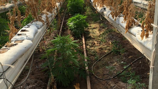 Bismil'de uyuşturucu operasyonu