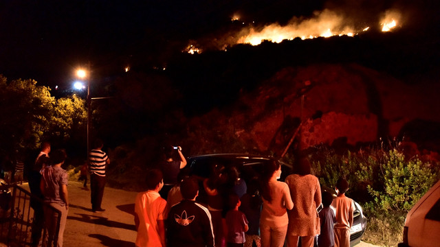 Bodrum'da makilik alanda yangın