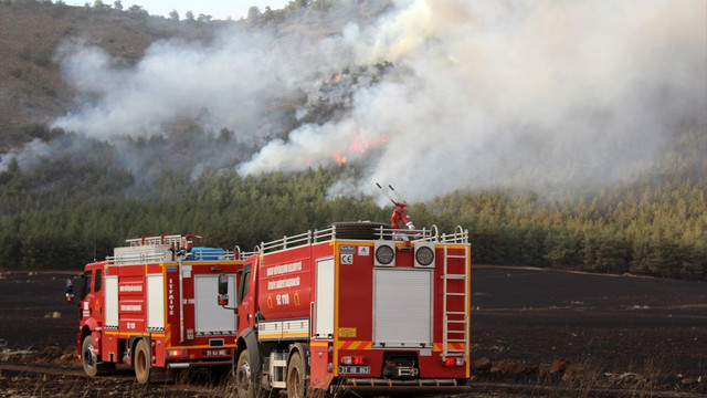 Buğday tarlasında çıkan yangın ormana sıçradı