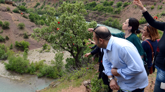Tunceli'de Dersim Olayları anılıyor