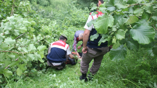 Düzce'de tarım aracı devrildi: 1 ölü