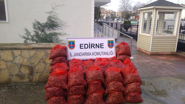 Edirne'de kaçak midye operasyonu