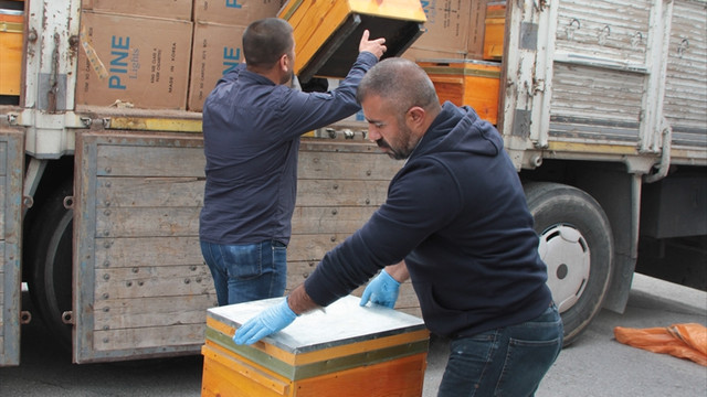 Erzincan'da arı kovanları arasından kaçak sigara