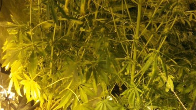 İstanbulda uyuşturucu operasyonu