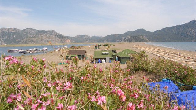 İztuzu Plajı ihalesi