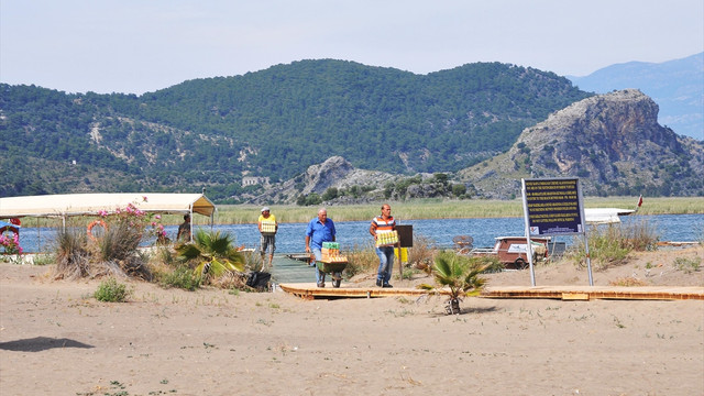 İztuzu Plajı'nın ihalesi