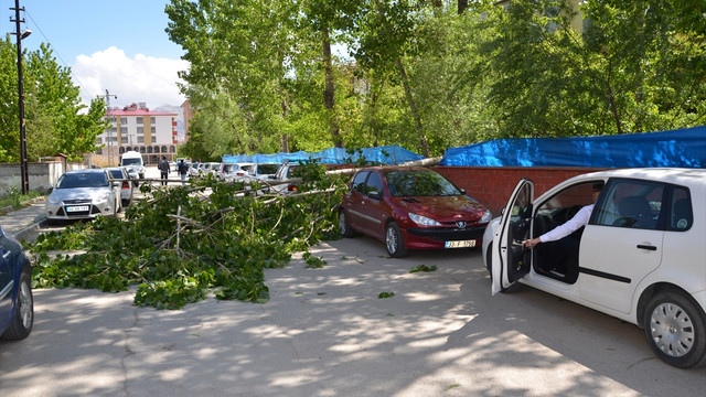 Kahramanmaraş'ta kuvvetli rüzgar