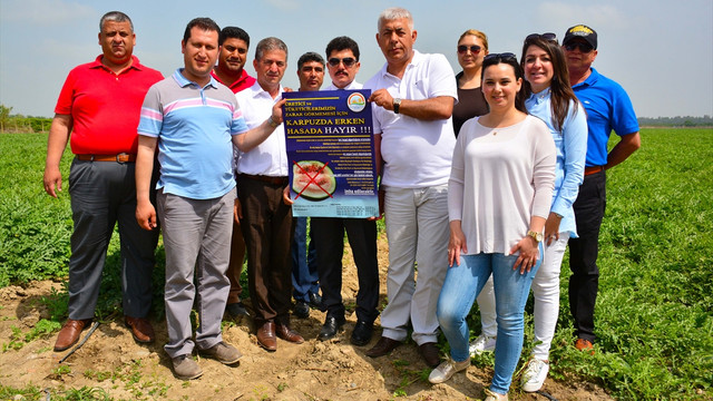 Karpuzda erken hasadı ham karpuz timleri önleyecek