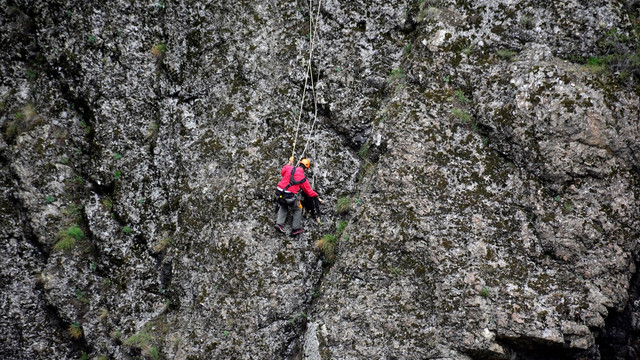 Kayalıklarda mahsur kalan keçi kurtarıldı