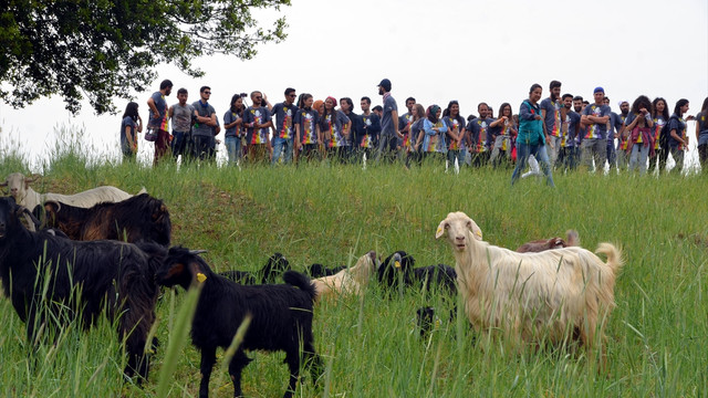 Keçi projesine öğrencilerden destek