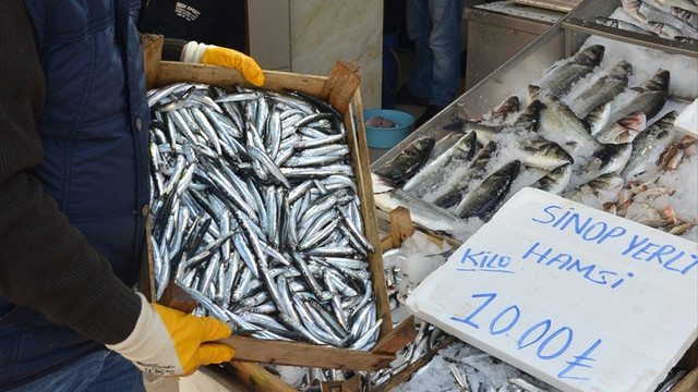 Kıyıda avlanan hamsi yüz güldürdü