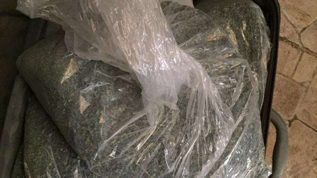 Kömürlükte 9 kilo bonzai ele geçirildi