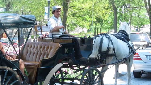 Kanada’da turistik faytonlar yasaklandı