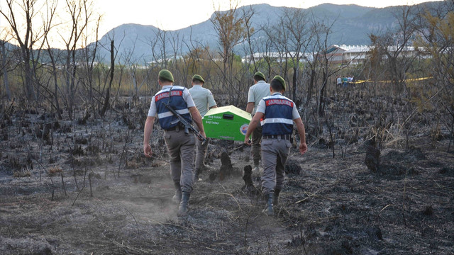 Muğla'da yanan sazlıkta ceset bulundu