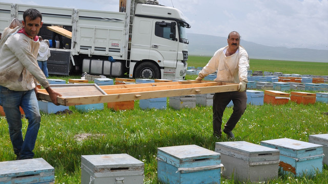 Muş ekonomisine ballı katkı