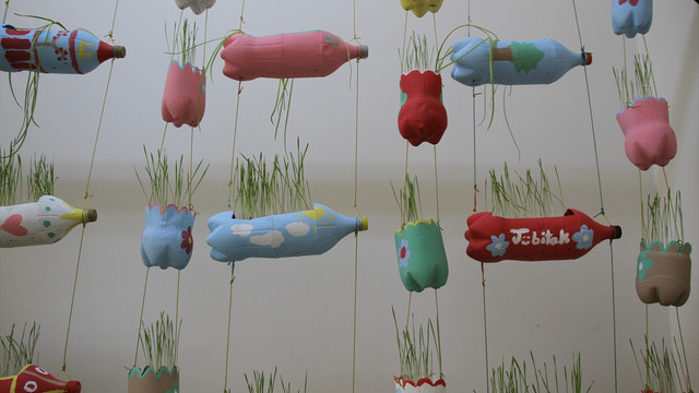 Plastik şişelerle bahçe kurdu