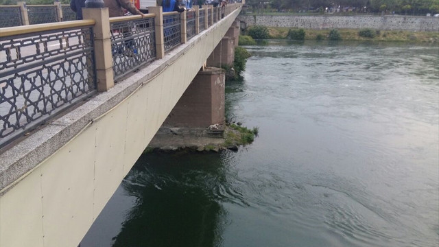 Samsun'da mahsur kalan köpeği itfaiye kurtardı