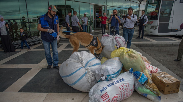 Şanlıurfa'da yolcu otobüslerinde arama