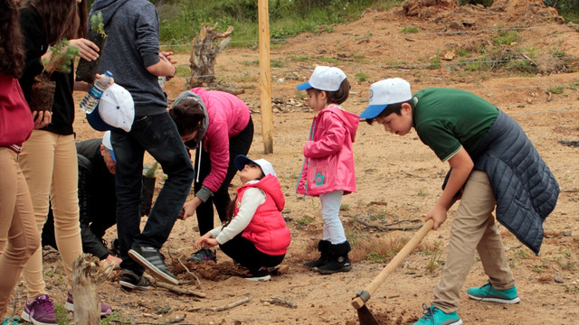 Şehitler için hatıra ormanı