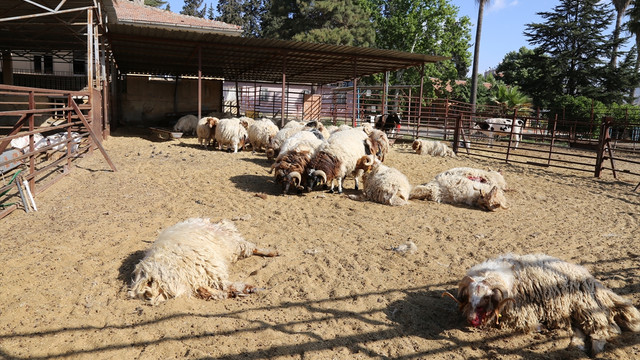 Kilise yine roket mermisi düştü!