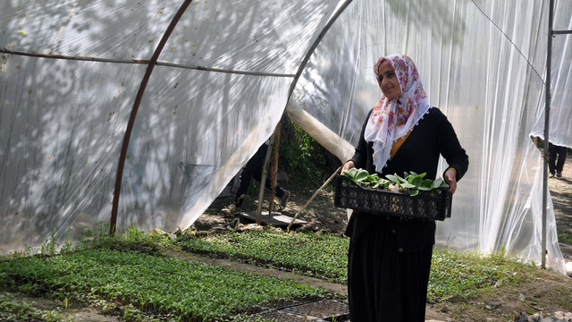 Tarlasındaki ürünleri satarak çocuklarını okutuyor