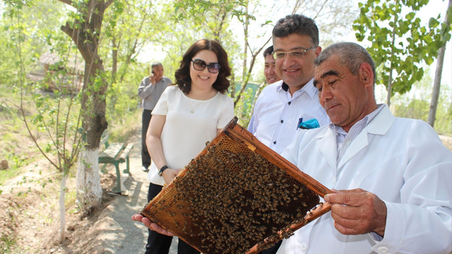 TİKA'dan Özbekistan'a arıcılık desteği