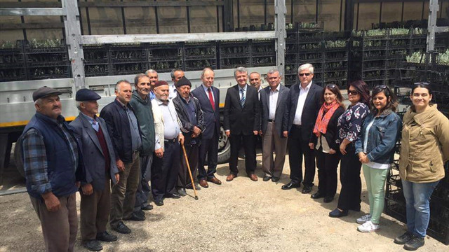 Uludağ lavanta kokacak