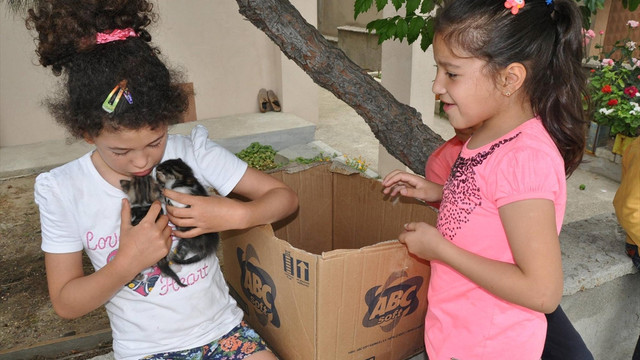 Yangında mahsur kalan 2 kediyi itfaiye kurtardı
