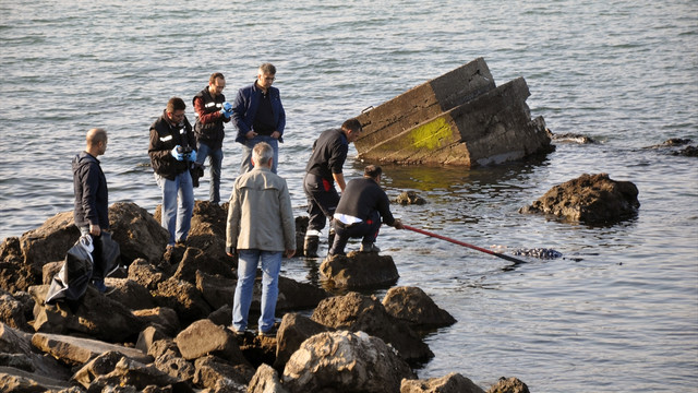 Zonguldakta denizde kadın cesedi bulundu