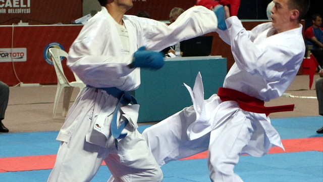 14. Avrupa Bölgeler Karate Şampiyonası