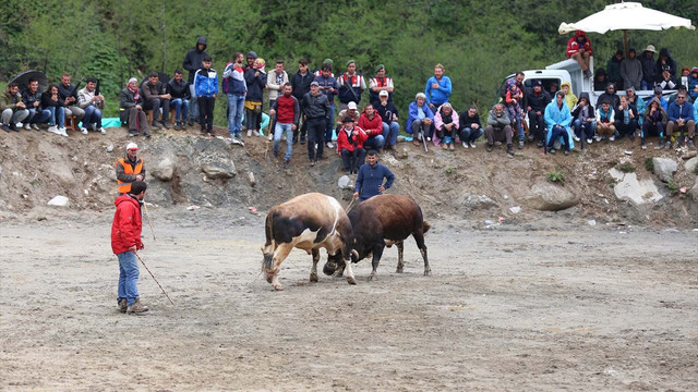 22. Çamlıhemşin Ayder Kültür Sanat ve Doğa Festivali