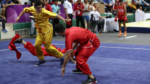 3. Açık Balkan Wushu Şampiyonası