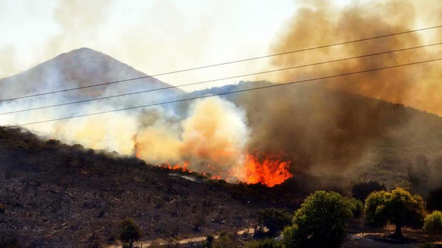 Bodrumda makilik alanda çıkan yangın kontrol altına alındı