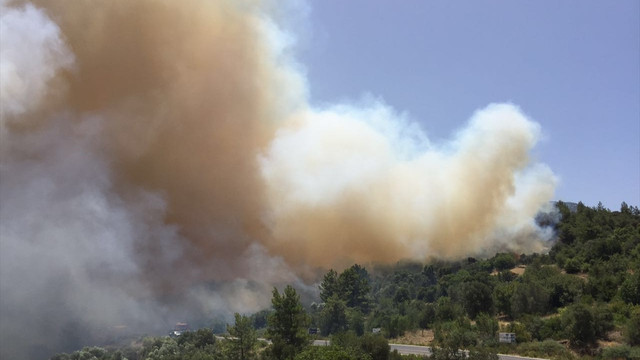 Adrasan'da orman yangını