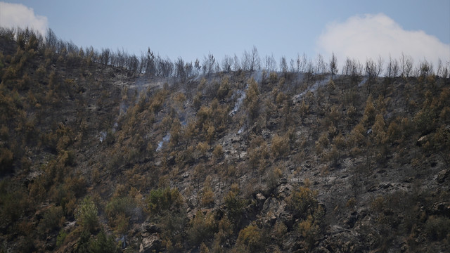 Adrasan'daki yangını karşı ateş söndürdü