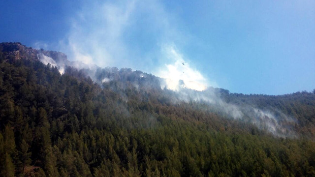 Antalya'da orman yangını