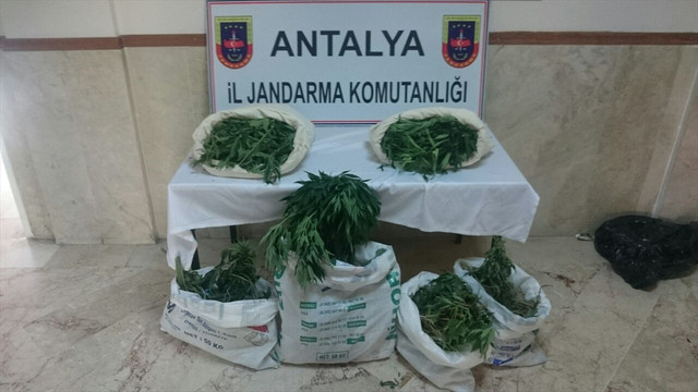 Antalya'da uyuşturucu operasyonu