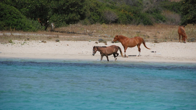 Aydın'da sıcak hava