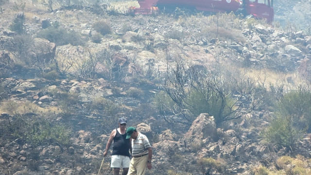 Bodrum'da makilik alanda yangın