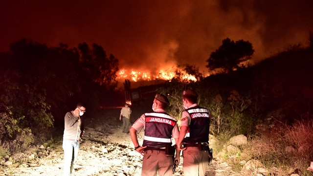 Bodrum'da yangın