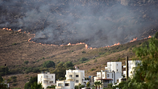 Bodrum'daki makilik alanda çıkan yangın