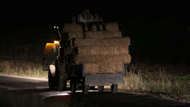 Buğdayını gece biçen çiftçi karlı çıkıyor