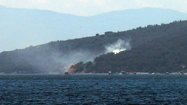 Büyükada'da yangın