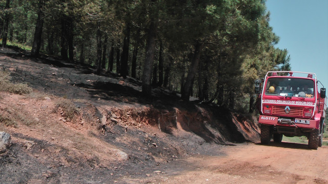 Çatalca'da orman yangını