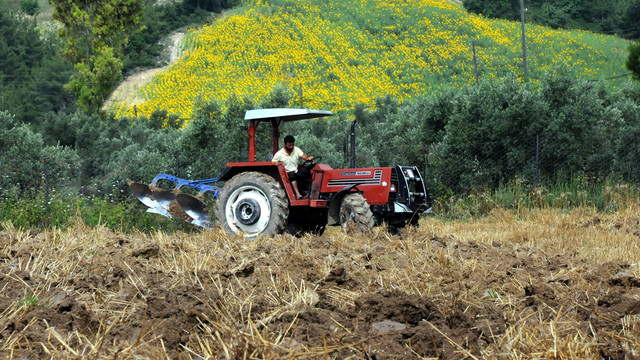 Çukurova çiftçisinin ikinci ürün mesaisi