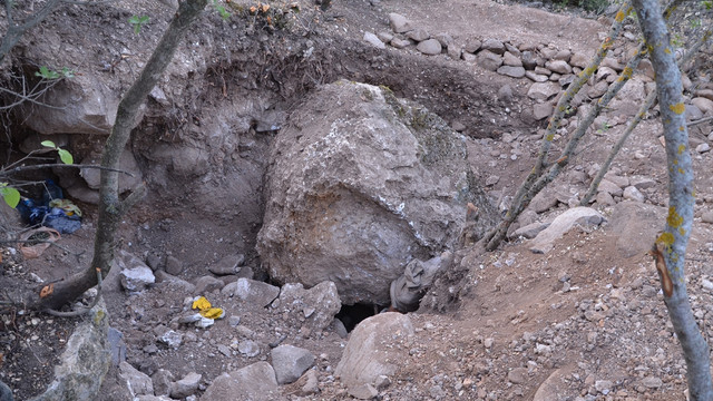 Define ararken canından oldu